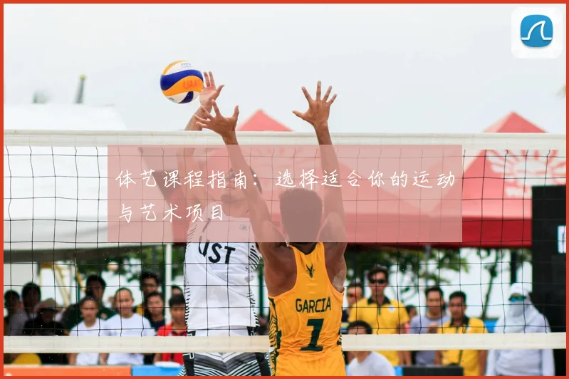 体艺课程指南：选择适合你的运动与艺术项目
