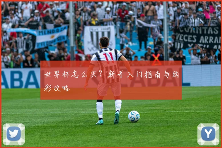世界杯怎么买?新手入门指南与购彩攻略