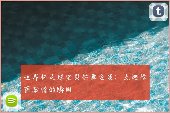 世界杯足球宝贝热舞合集：点燃绿茵激情的瞬间