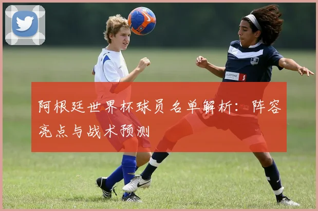 阿根廷世界杯球员名单解析：阵容亮点与战术预测