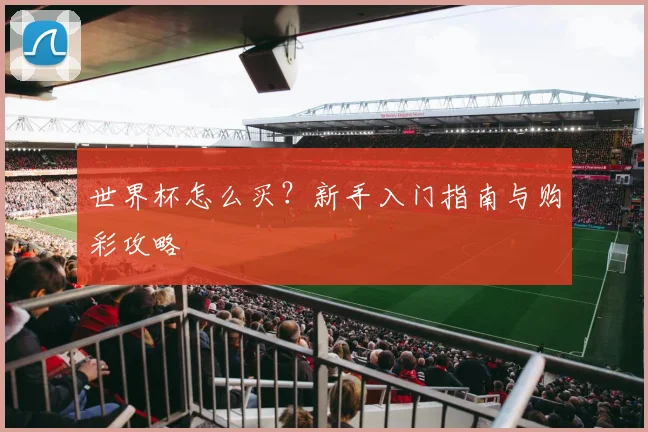 世界杯怎么买？新手入门指南与购彩攻略